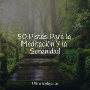 50 Pistas Para la Meditación Y la Serenidad