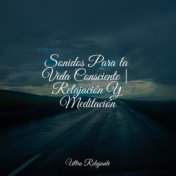 Sonidos Para la Vida Consciente | Relajación Y Meditación