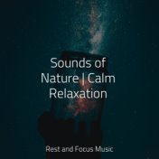 Sounds of Nature | Calm Relaxation