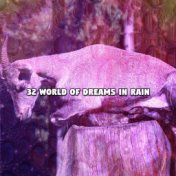 32 World Of Dreams In Rain