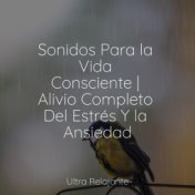 Sonidos Para la Vida Consciente | Alivio Completo Del Estrés Y la Ansiedad