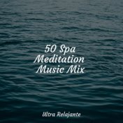 50 Spa Meditation Music Mix