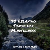 50 Relaxing Songs for Mindfulness