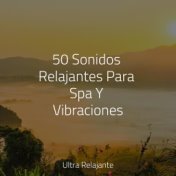 50 Sonidos Relajantes Para Spa Y Vibraciones