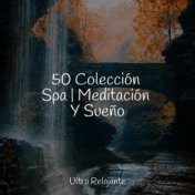 50 Colección Spa | Meditación Y Sueño