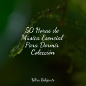 50 Horas de Música Esencial Para Dormir Colección