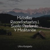 Melodías Reconfortantes | Sueño Profundo Y Meditación