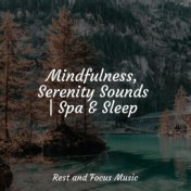 Mindfulness, Serenity Sounds | Spa & Sleep