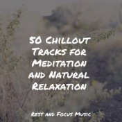 50 Chillout Tracks for Meditation and Natural Relaxation