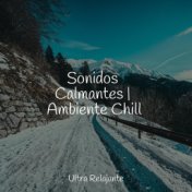 Sonidos Calmantes | Ambiente Chill