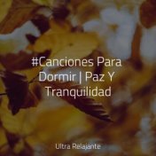 #Canciones Para Dormir | Paz Y Tranquilidad