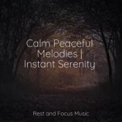 Calm Peaceful Melodies | Instant Serenity