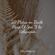 50 Pistas en Bucle Para El Spa Y la Relajación