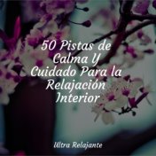 50 Pistas de Calma Y Cuidado Para la Relajación Interior