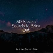 50 Serene Sounds to Bring Out