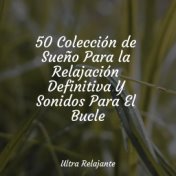 50 Colección de Sueño Para la Relajación Definitiva Y Sonidos Para El Bucle