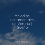 Melodías Instrumentales de Verano | Sueño