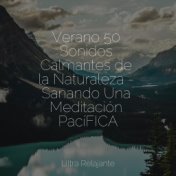 Verano 50 Sonidos Calmantes de la Naturaleza - Sanando Una Meditación PacíFICA