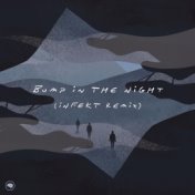 Bump in the Night (Infekt Remix)