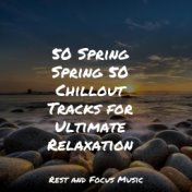 50 Spring Spring 50 Chillout Tracks for Ultimate Relaxation