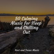 50 Calming Music for Sleep and Chilling Out