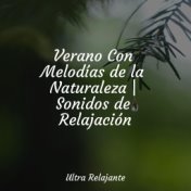 Verano Con Melodías de la Naturaleza | Sonidos de Relajación