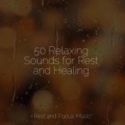 50 Relaxing Sounds for Rest and Healing