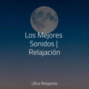 Los Mejores Sonidos | Relajación