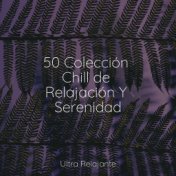 50 Colección Chill de Relajación Y Serenidad