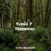 Sueño Y Serenidad