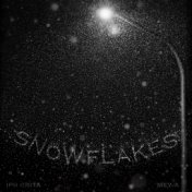 Snowflakes (with Mey-A)