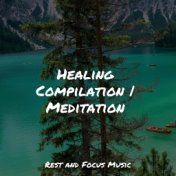 Healing Compilation | Meditation