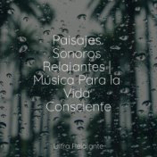 Paisajes Sonoros Relajantes | Música Para la Vida Consciente