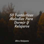 50 Fantásticas Melodías Para Dormir Y Relajarse