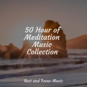 50 Hour of Meditation Music Collection