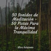 50 Sonidos de Meditación - 50 Pistas Para la Máxima Tranquilidad