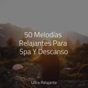 50 Melodías Relajantes Para Spa Y Descanso