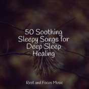 50 Soothing Sleepy Songs for Deep Sleep Healing