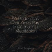 50 Poderosas Canciones Para la Calma Y la Meditación