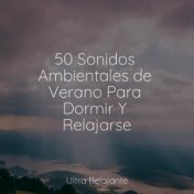 50 Sonidos Ambientales de Verano Para Dormir Y Relajarse