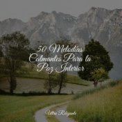 50 Melodías Calmantes Para la Paz Interior