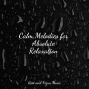Calm Melodies for Absolute Relaxation