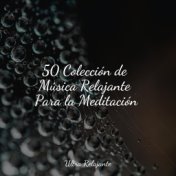50 Colección de Música Relajante Para la Meditación