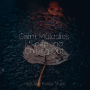 Calm Melodies | Sleep and Chilling Out