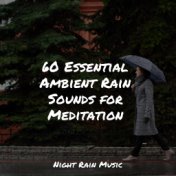 60 Essential Ambient Rain Sounds for Meditation