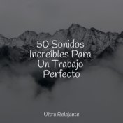 50 Sonidos Increíbles Para Un Trabajo Perfecto