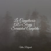 La Compilación AE-Sleepy | Serenidad Completa