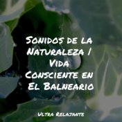 Sonidos de la Naturaleza | Vida Consciente en El Balneario