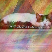 78 Your Sounds For Sleeping