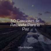 50 Canciones de Ambiente Para la Paz
